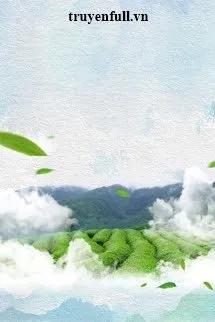 Bí Mật Đồi Trà